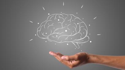 An open hand holding up an illustrated outline of a brain