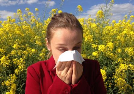 Wellness Wednesday: Attack Of The Allergens Wellness Wednesday: Attack Of The Allergens